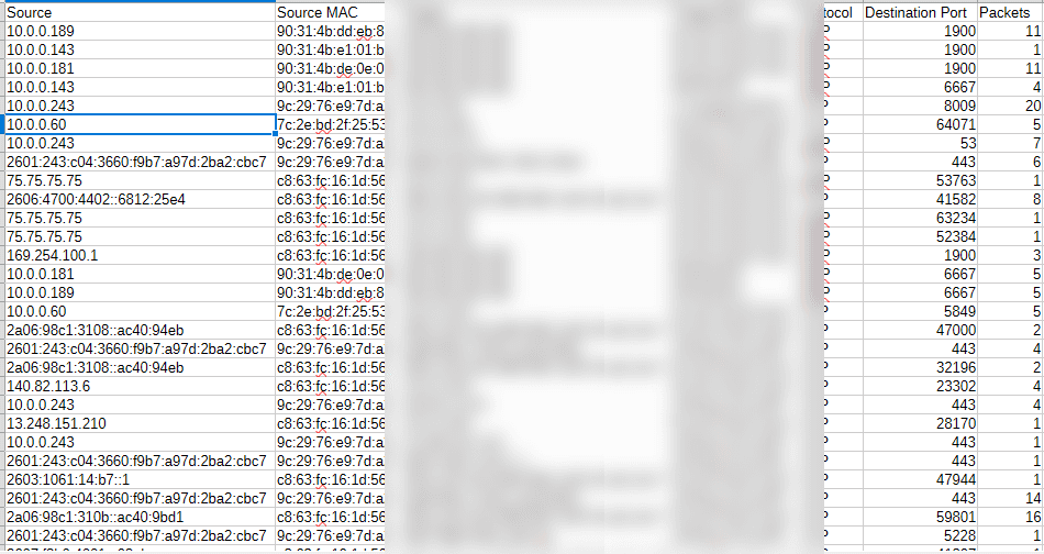 NetView CSV export showing captured network traffic rows